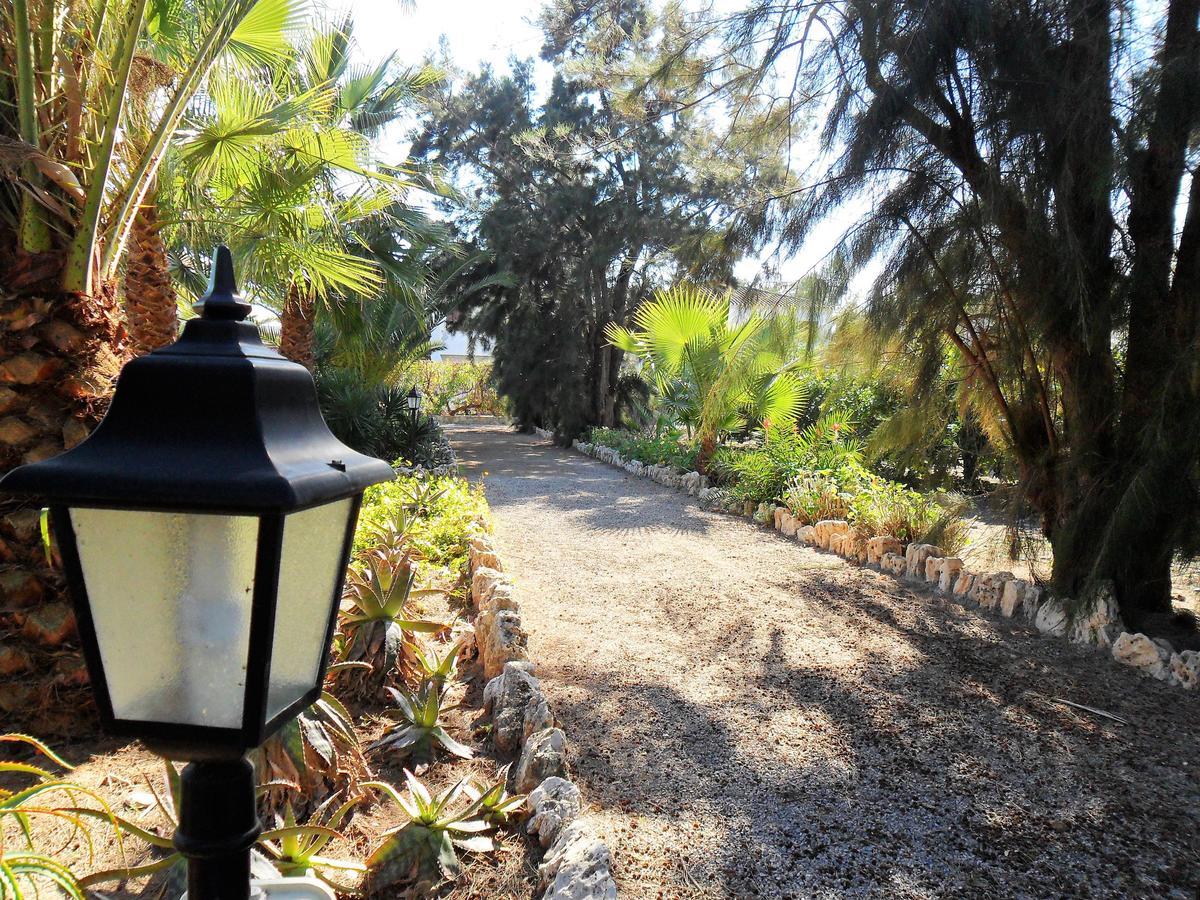 Apartamentos Concha Del Mar Sagunto Eksteriør billede