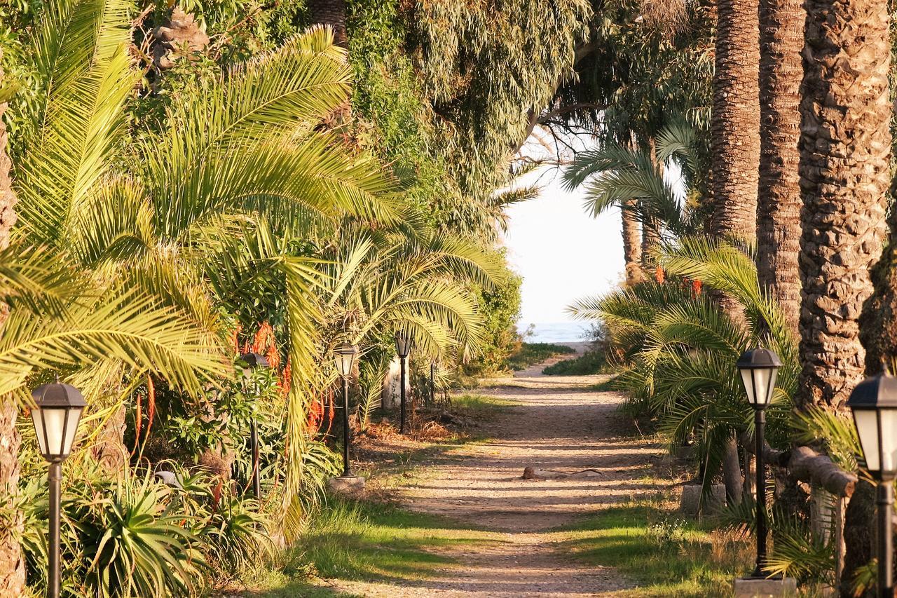 Apartamentos Concha Del Mar Sagunto Eksteriør billede